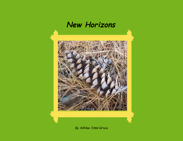 New Horizons