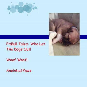 Pitbull Tales-Who Let The Dogs Out
