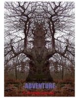 Adventures:A Strange Period