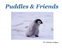 Puddles & Friends