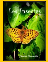 Les Insectes