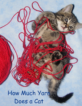 How Much Yarn Does A Cat Need?