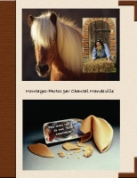 Montages-Photos