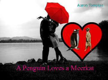 A Penguin Loves a Meerkat