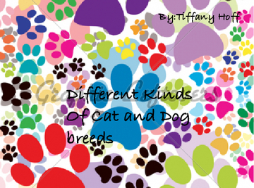 Diffrent Kinds Of Breeds