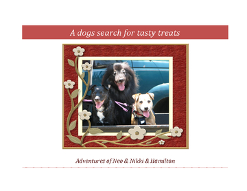 A Dogs Search for Tasty Treats