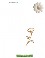 Jasmine's Tear