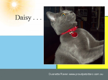Daisy