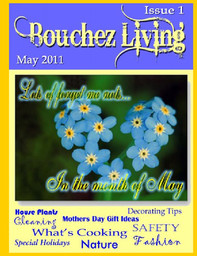 Bouchez Living