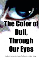 The color of dull, Through our eyes