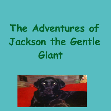 The Adventures of Jackson The Gentle Giant