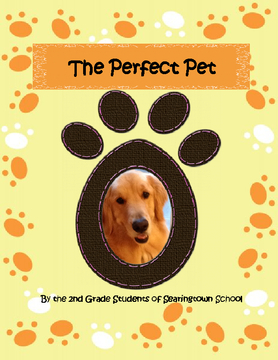 The Perfect Pet
