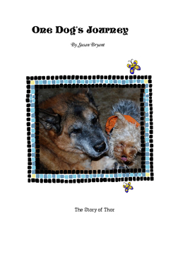 One Dog's Journey