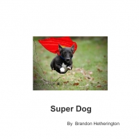 Super Dog