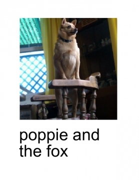 poppie and the fox (toy)