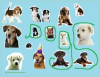 Dogs