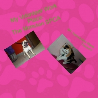 my pets that are ruscue