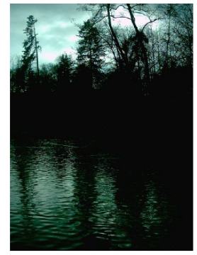 Dark Pastures