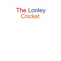 The lonely cricket