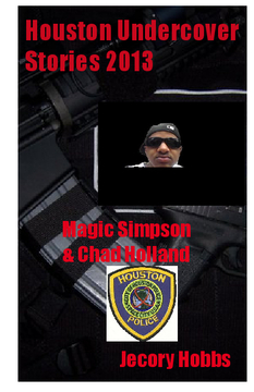 Houston Undercover Stories 2013
