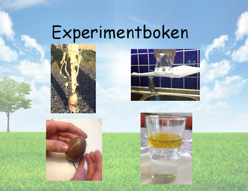 Experiment-boken