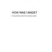 how was i made?