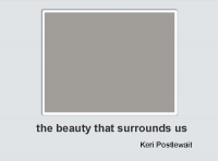 the beauty that surrounds us
