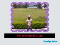 My wonderful life