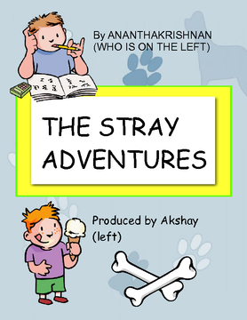 The Stray Adventures