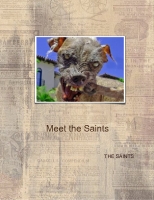 Meet the Saints