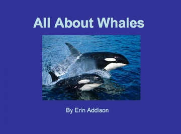 All About Whales