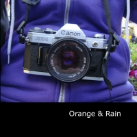 orange&rain