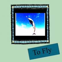 To Fly