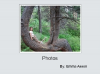 Photos