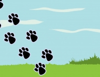 The Missing Bear