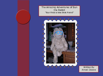 The Amazing Adventures of Bun the Rabbit