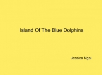 Island Of The Blue Dolphins