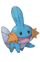 Mudkip's Adventures