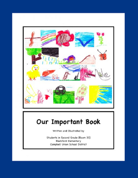 Our Important Book