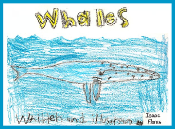 Whales