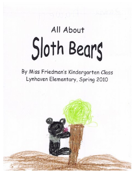 All About Sloth Bears