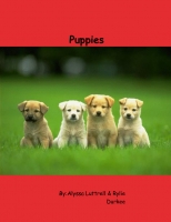 Puppies