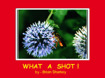 WHAT  A  SHOT  !