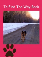 To Find The Way Back