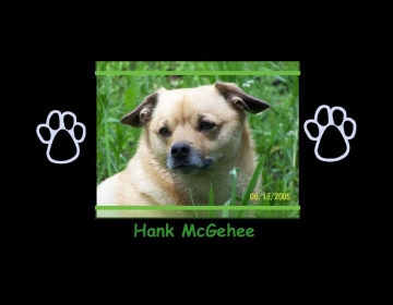 Hank McGehee