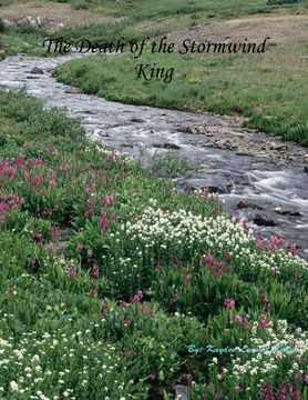 The Death of Stormwind King