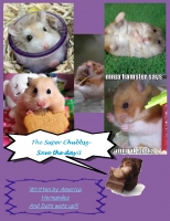 The Super Chubbs save dogiez!