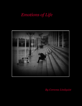 Emotions of Life