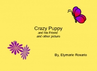 Crazy Monkey