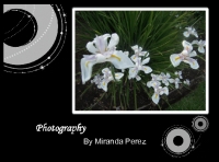 Photography